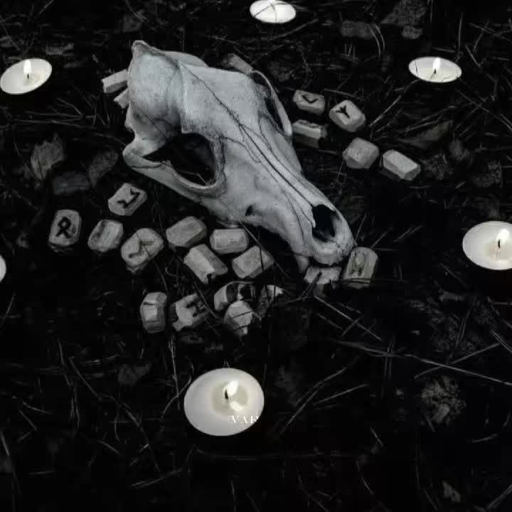 @петрович козочка.