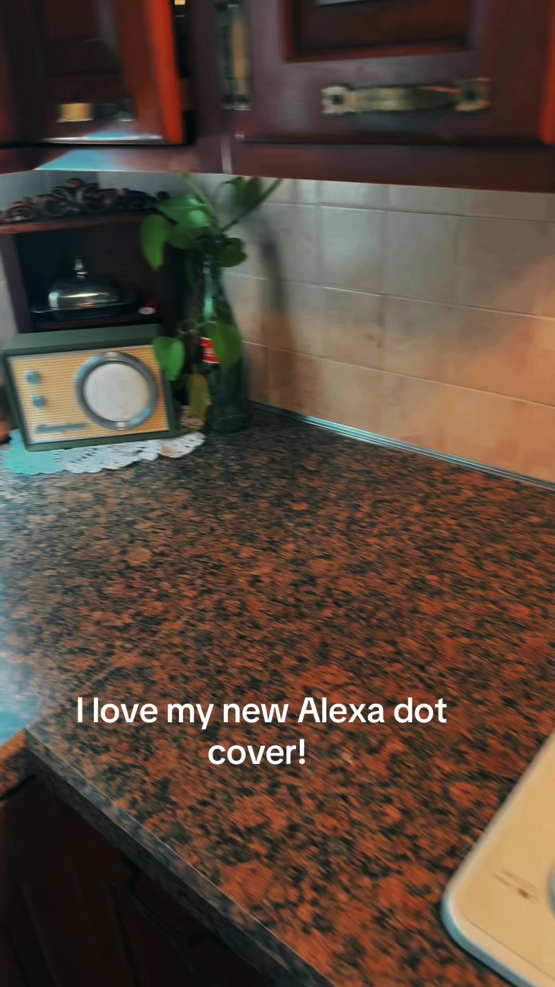 @Alexandria Scanlon