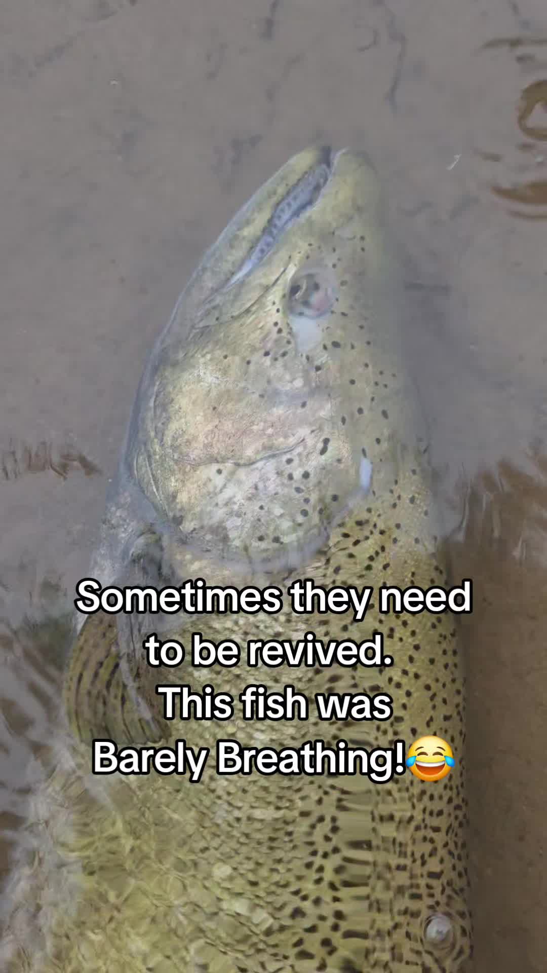 @Fishin with the Griffins