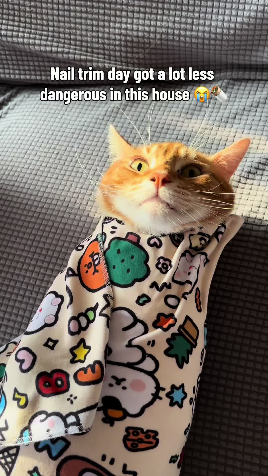 @Meowster_World