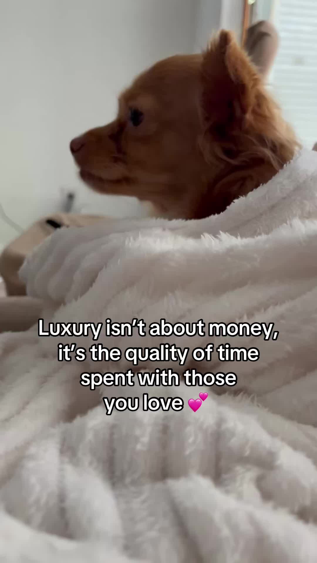 @it&rsquo;s Lady & Lisa