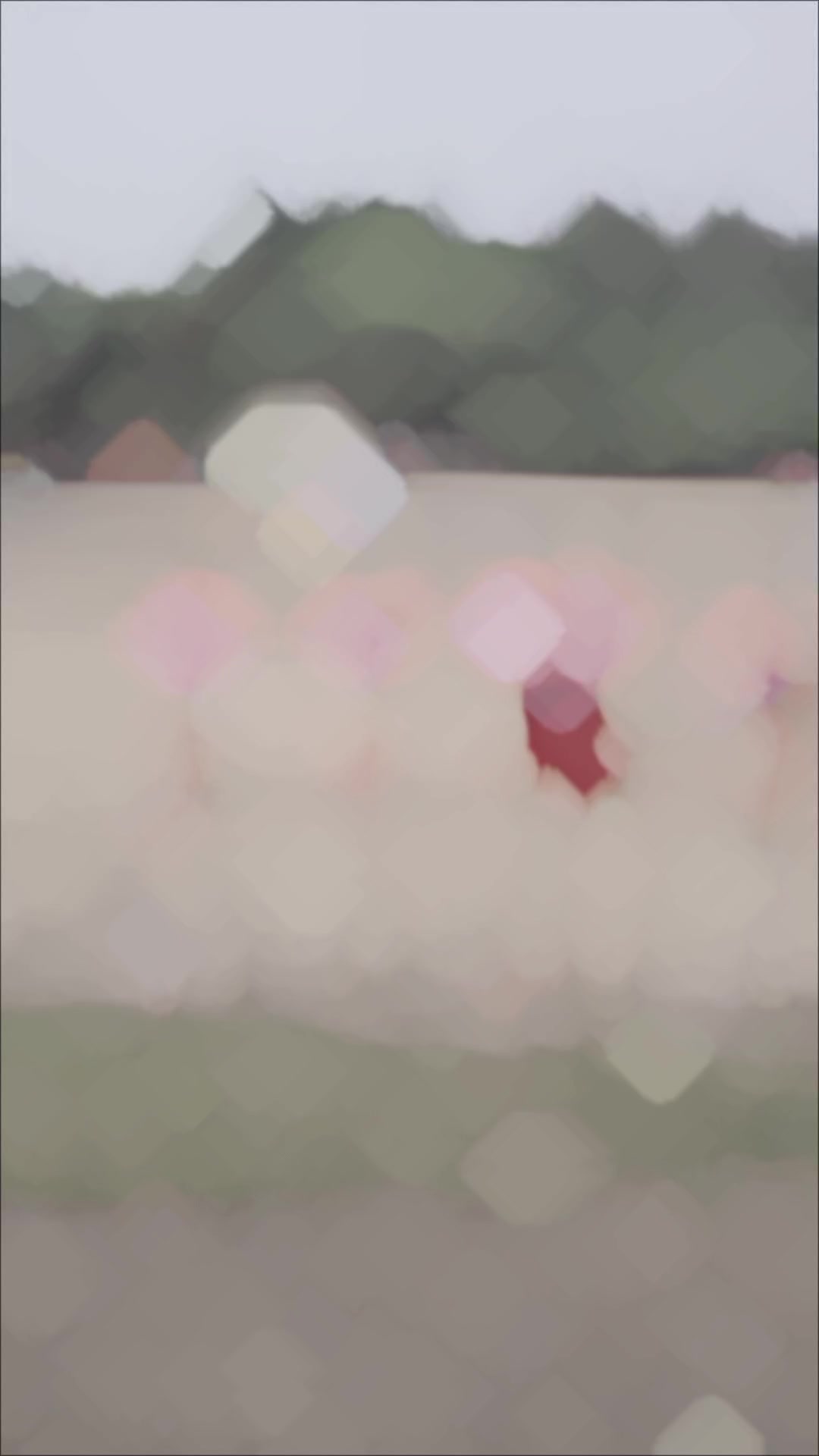 @Αвαѕ 2