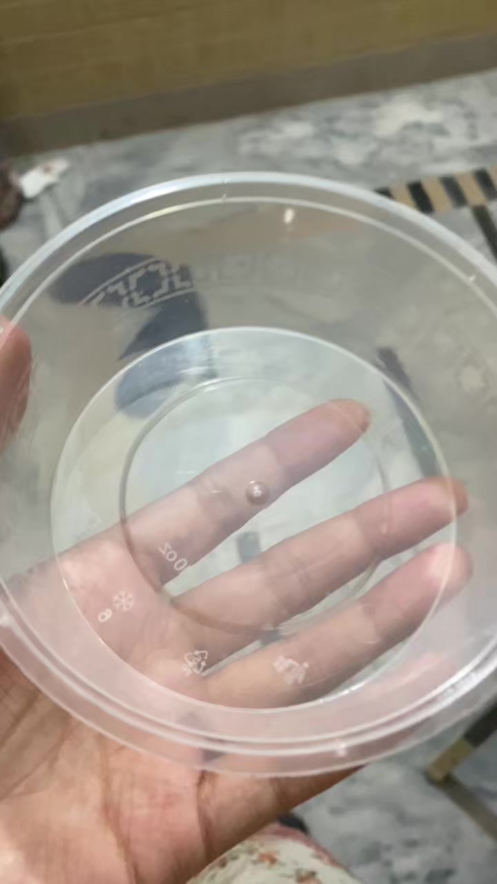 @Entomologist 🦋