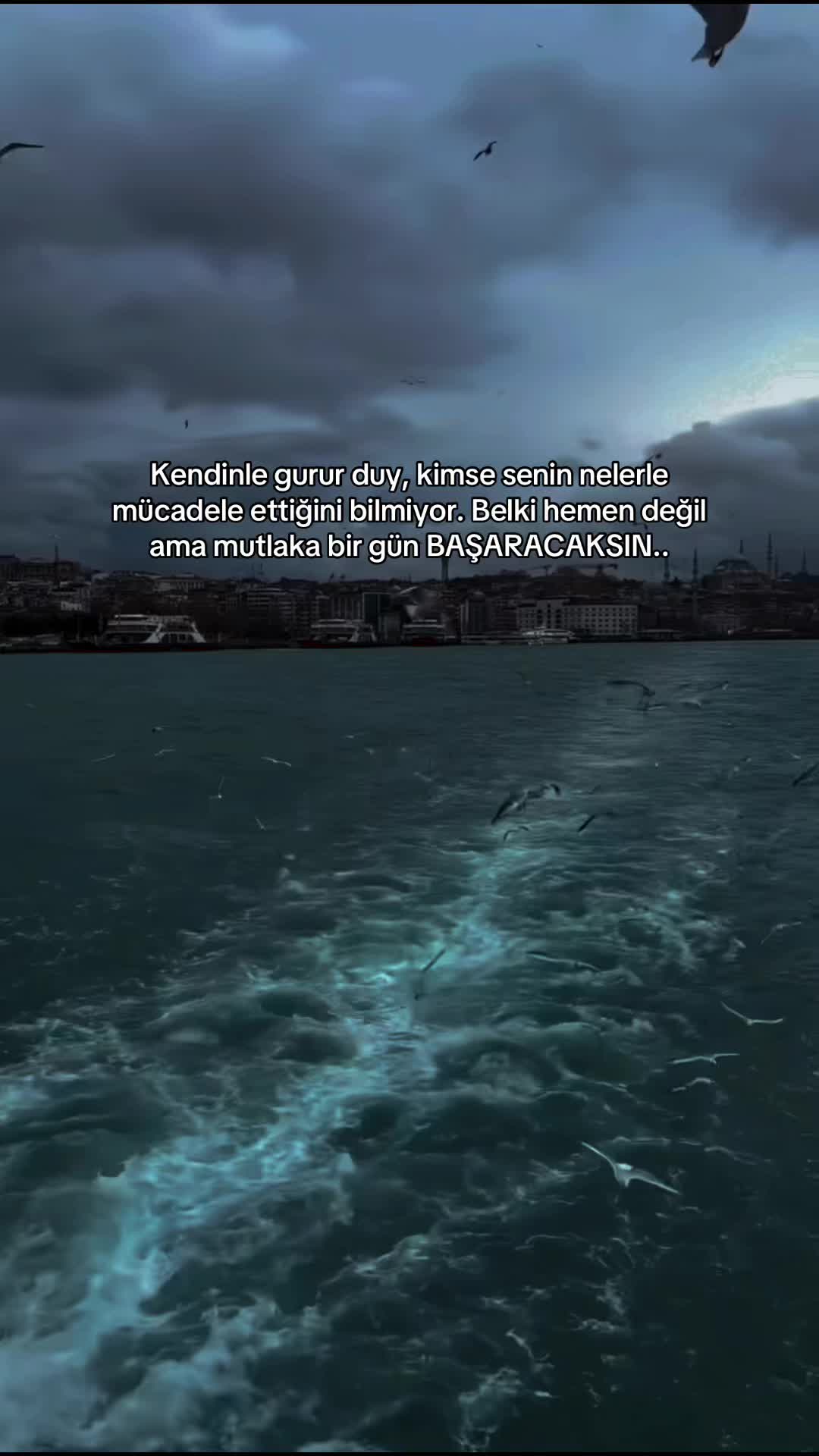 @MehtapTek🇹🇷