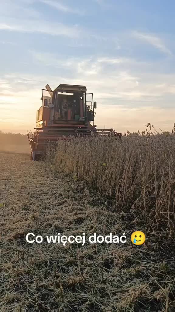 @Swiru97