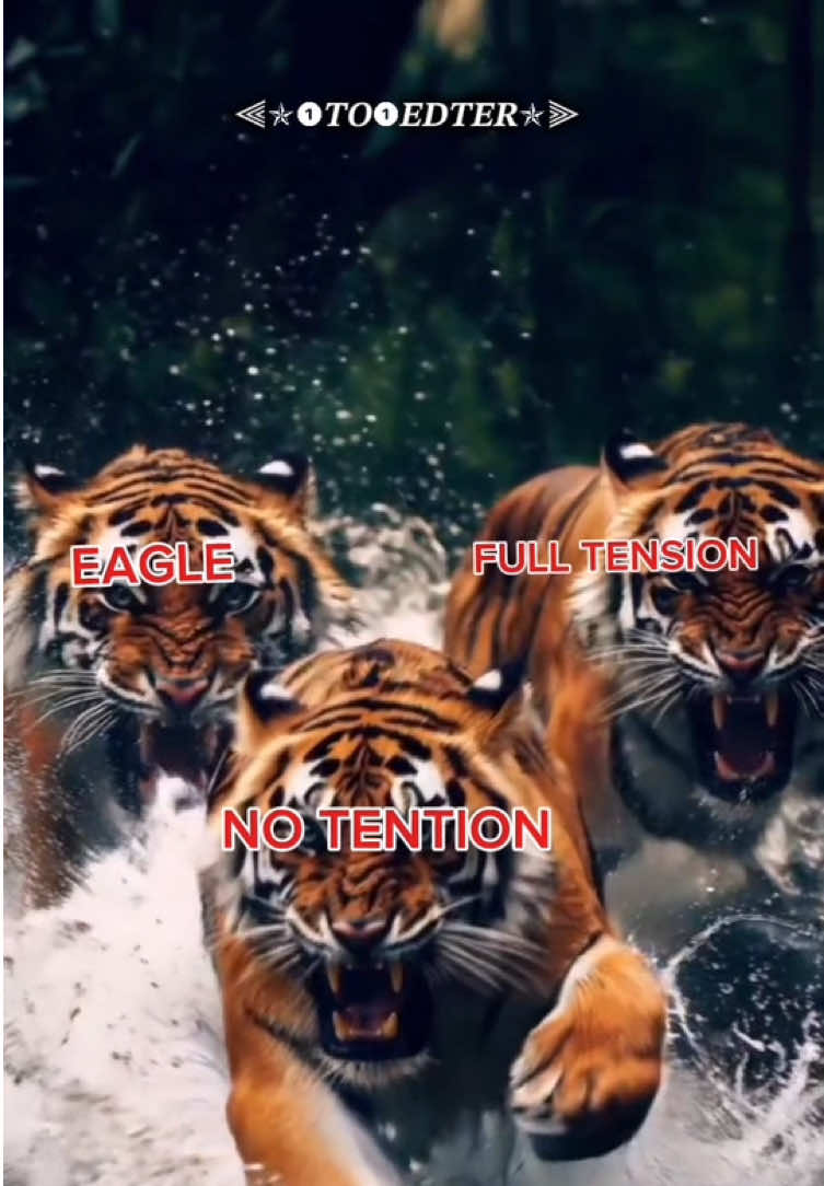 @⫷✯ NO TENSION EDTER ✯⫸