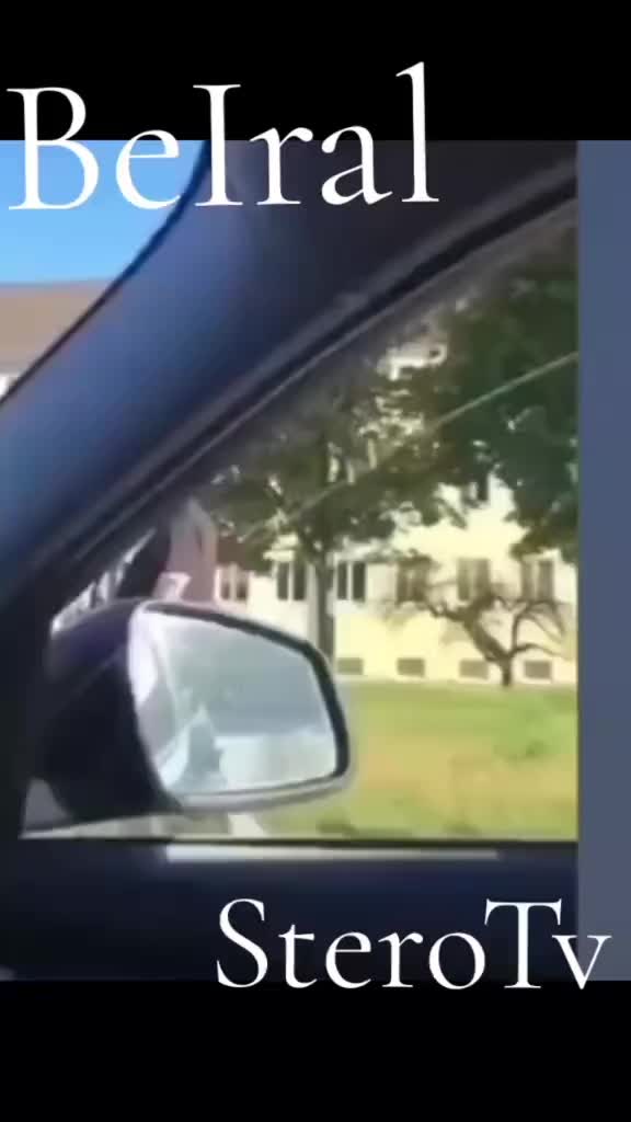 @wolfpacksteffen