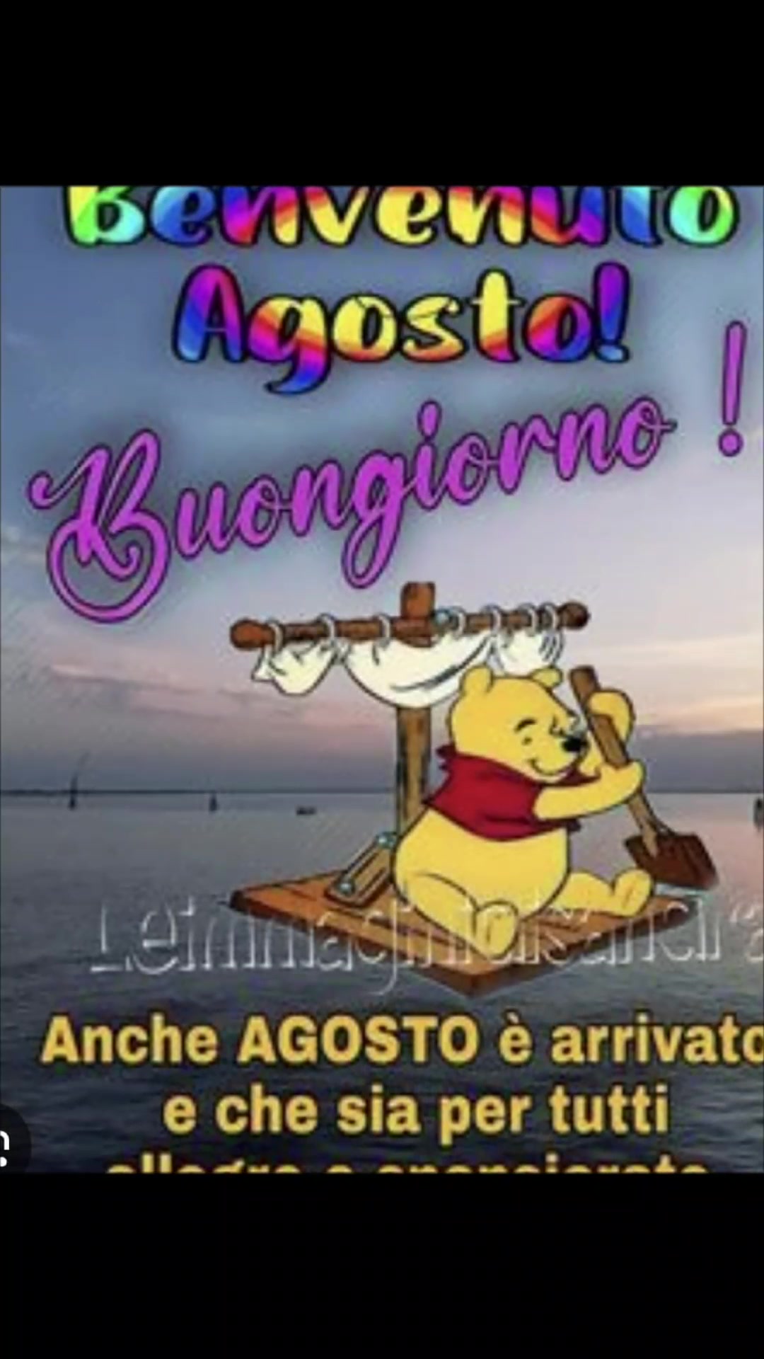 @alessandramarchi726