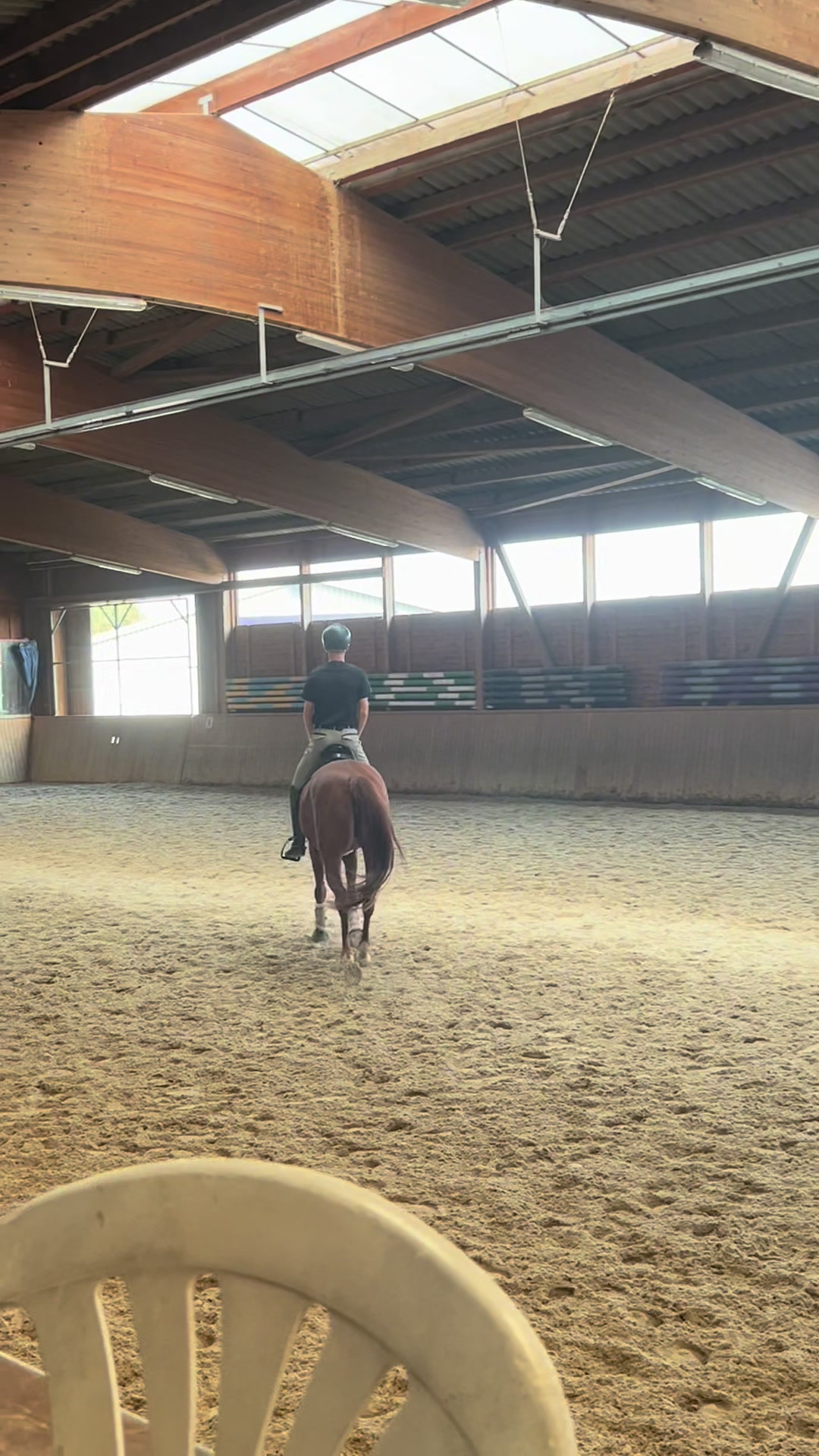 @diaryofequestrian