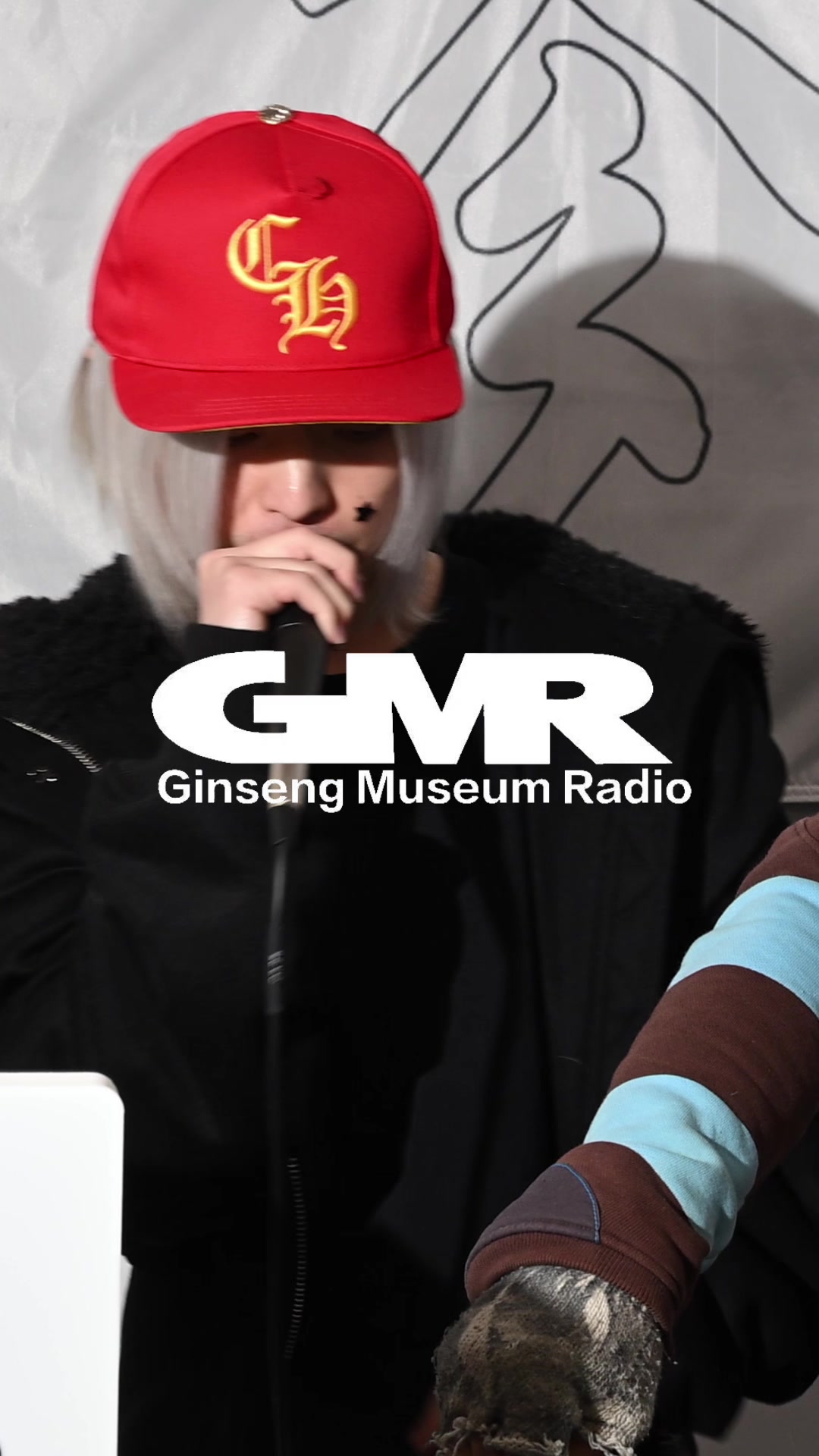 @Ginseng Museum