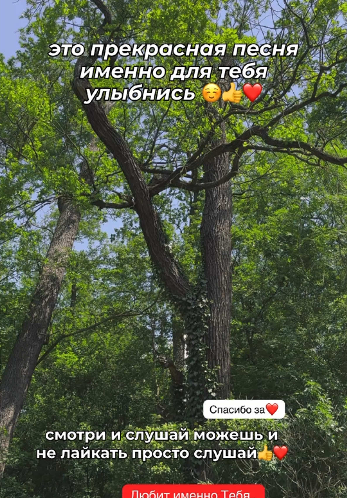 @❤️&zwj;🔥Просто Человек🎧