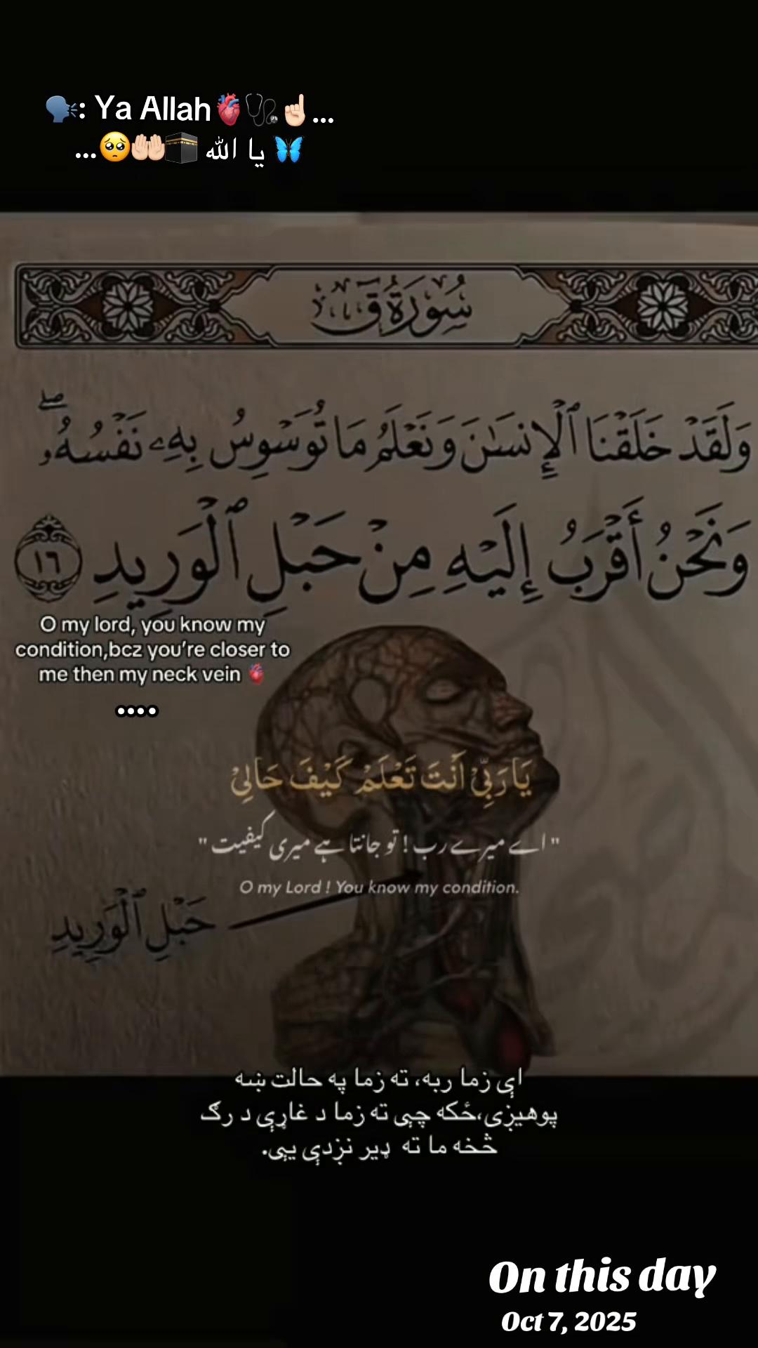 @ðð©º~Jannat~ð€ðŠðºðž