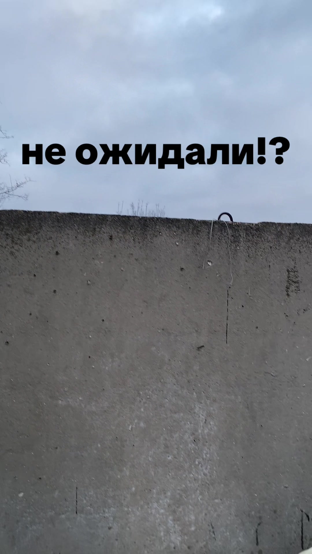 @pelmeshka_82