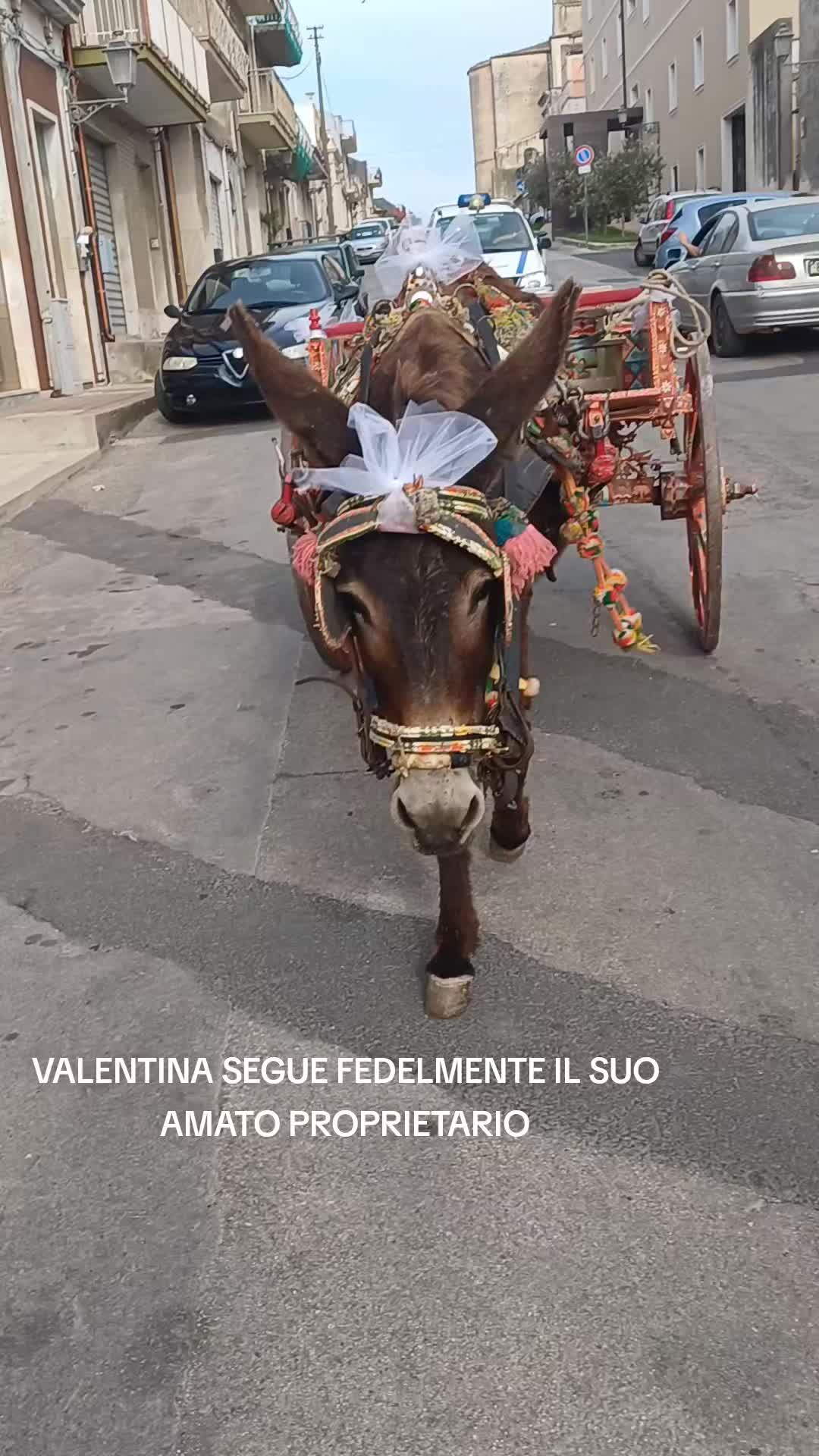 @ENZO CAVALIERI