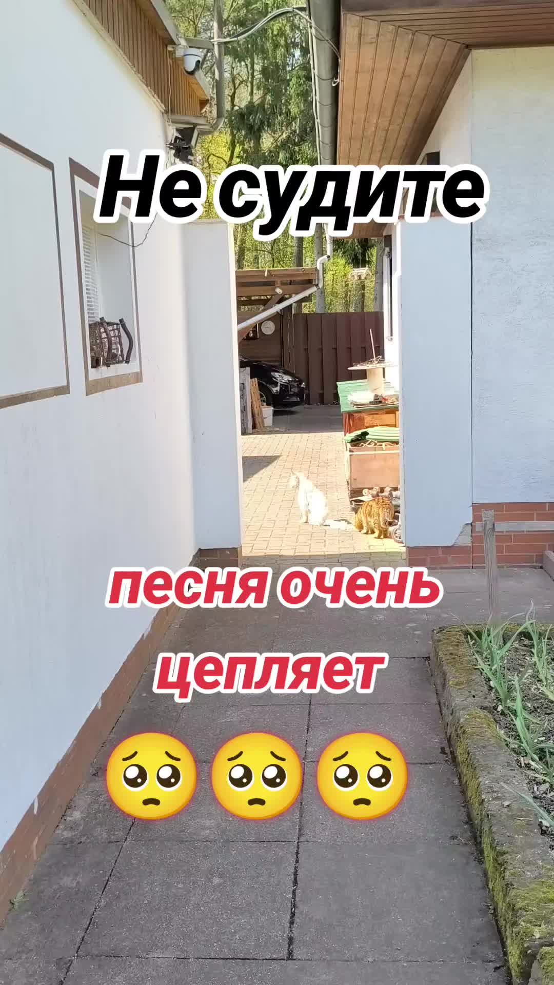 @Вл. Мел. 89