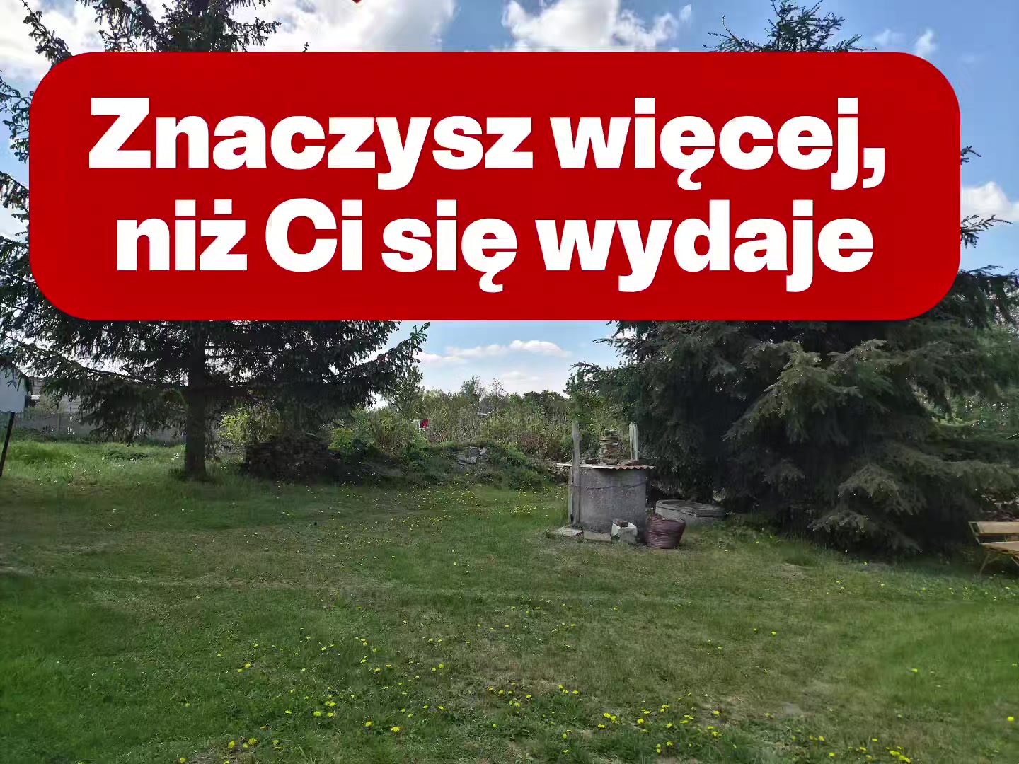 @Śladami Zebry