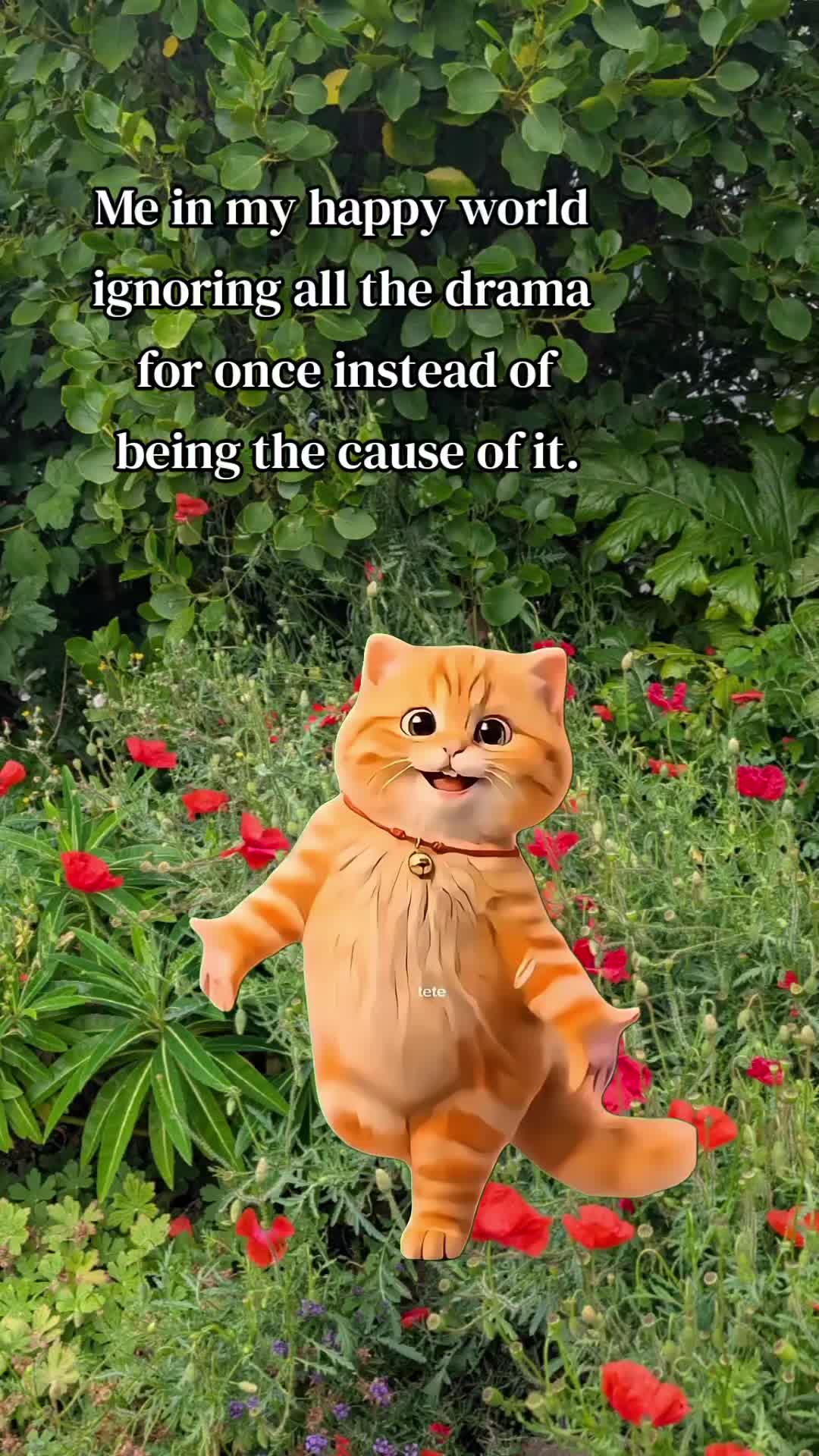 @nikki