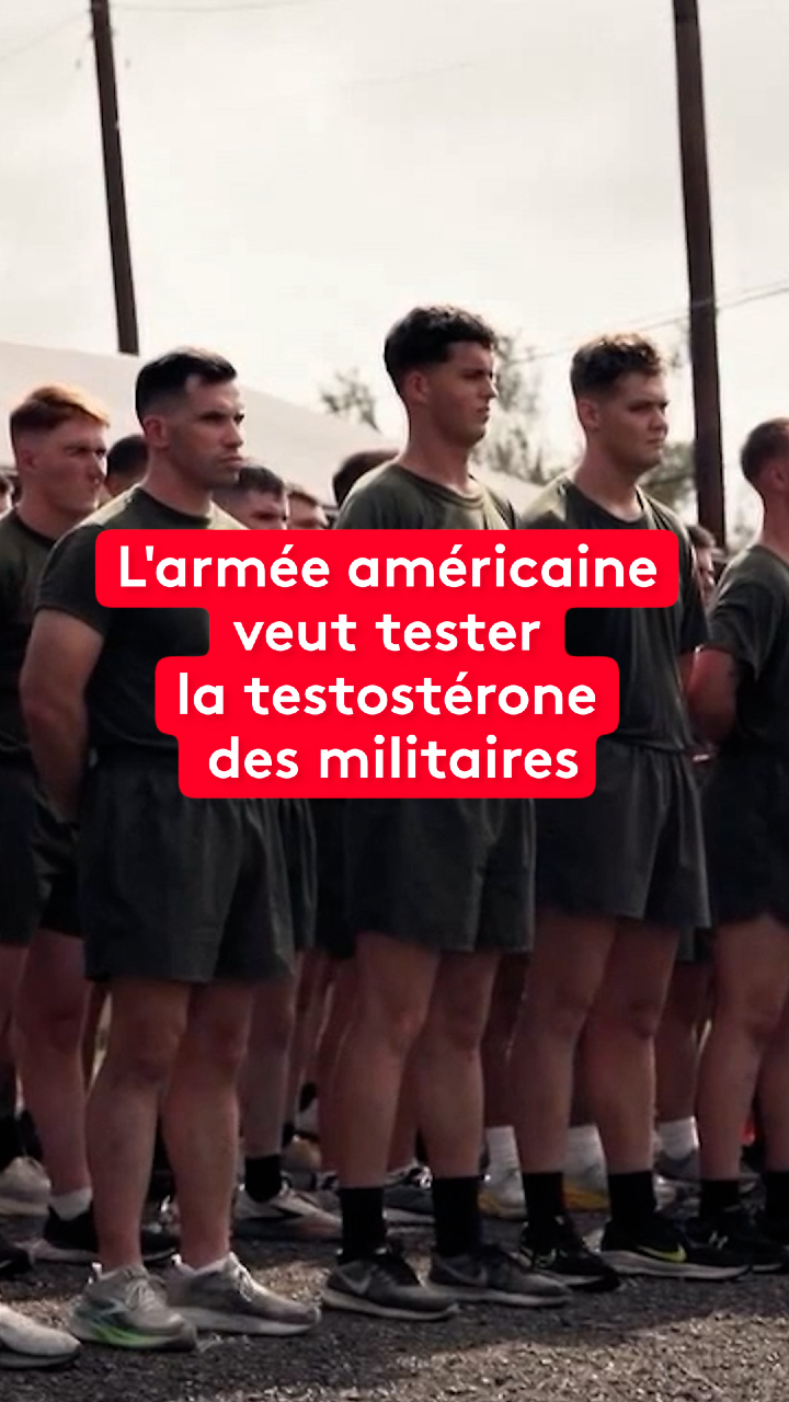 @le20hfrancetelevisions