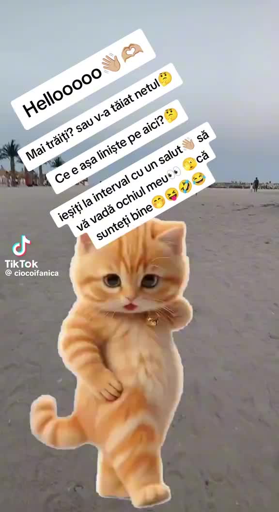 @Mariana Lungu