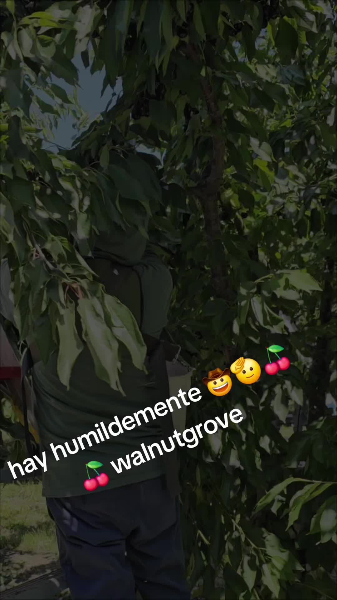@fulgencio🤠