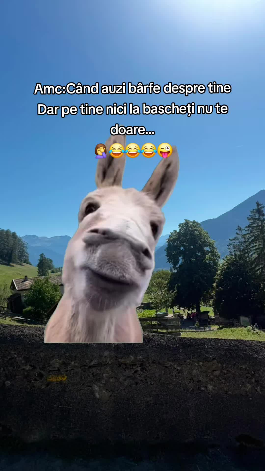 @♈️RalukDinu♈️84🤍☯️❤️