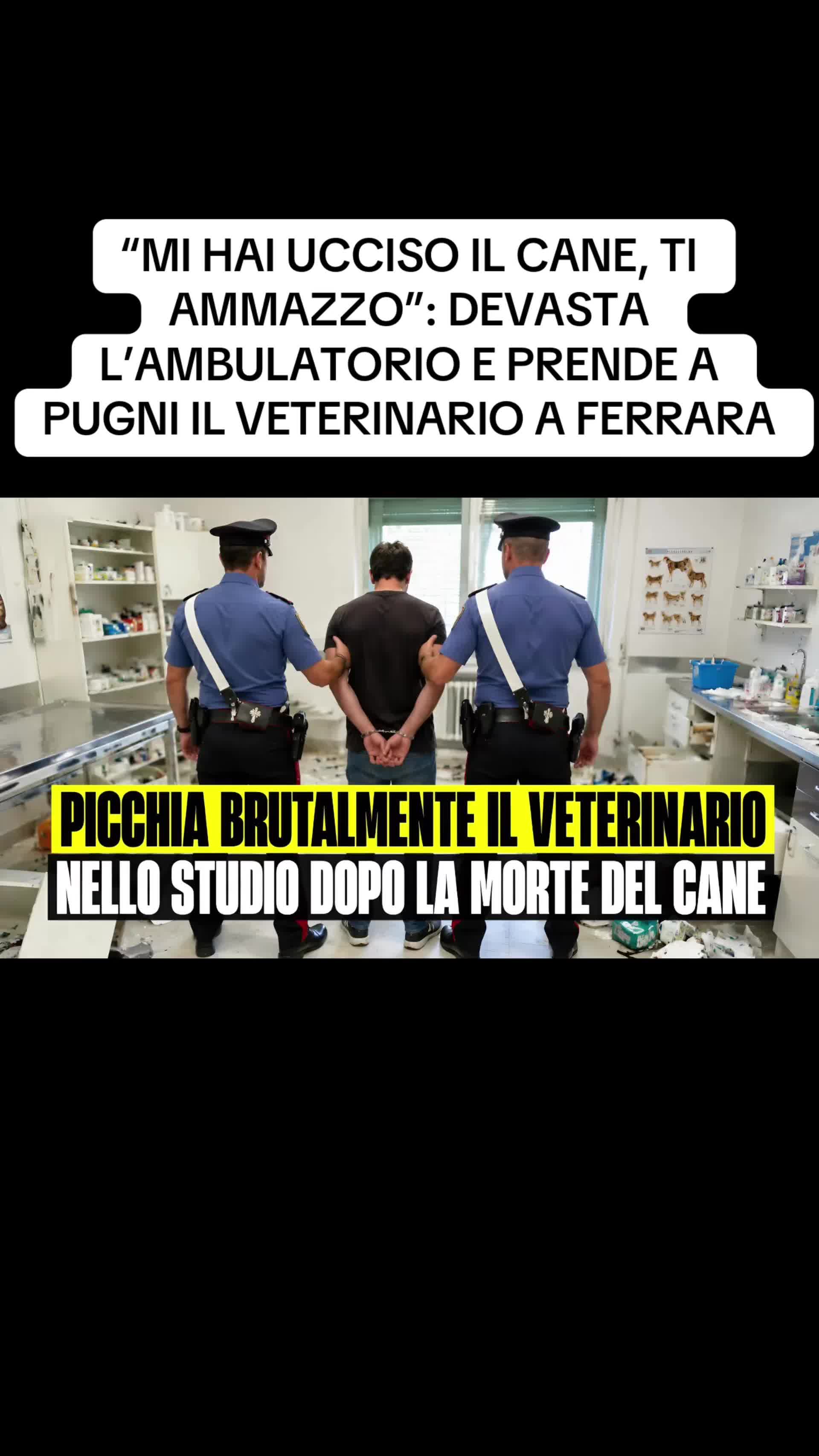 @flashtv_notizie