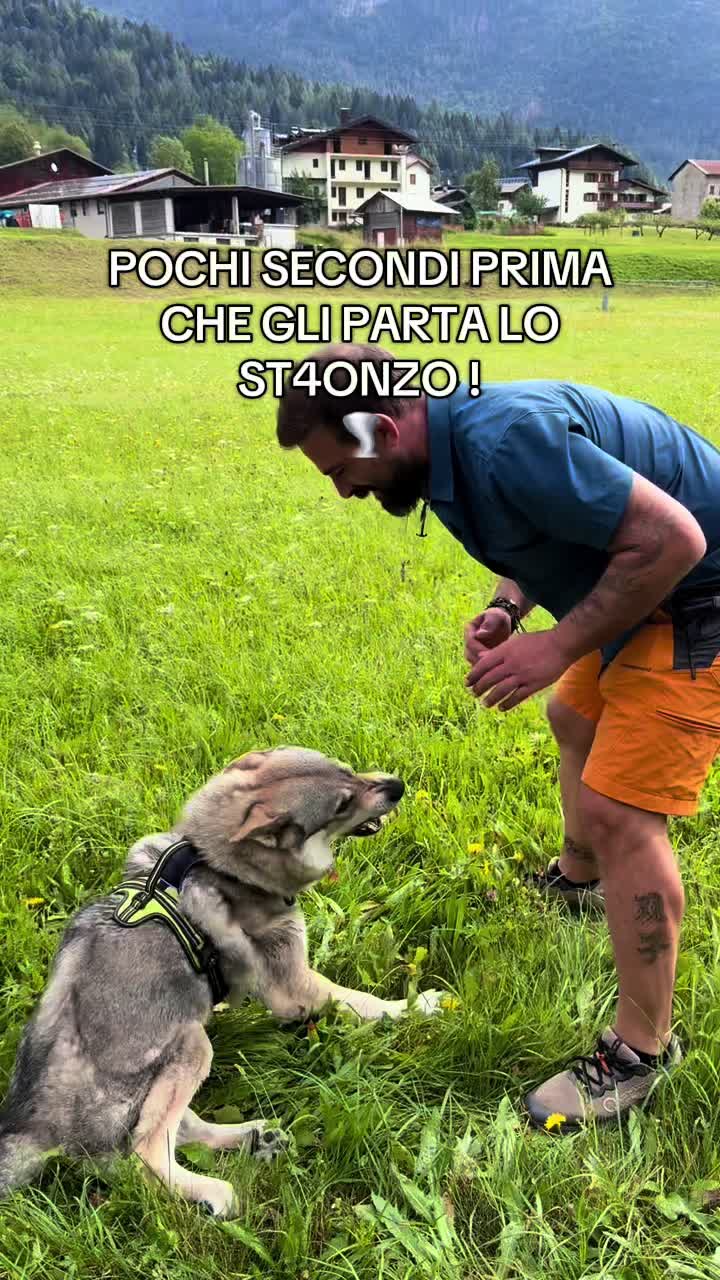 @WalkingWolf
