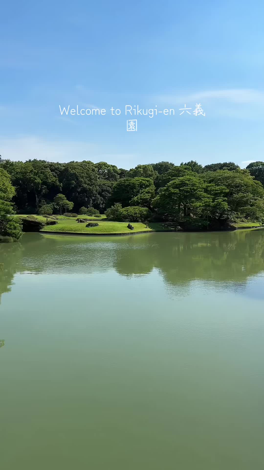 @ウィリー