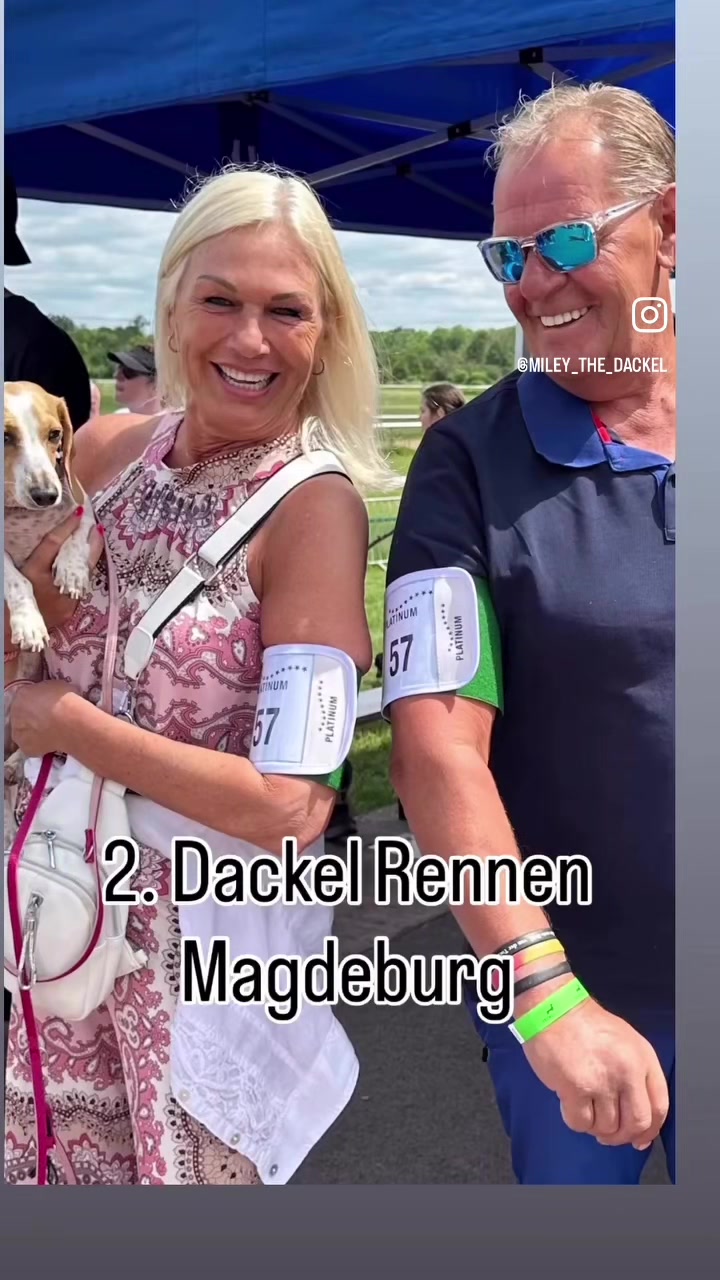 @Mileythedackel
