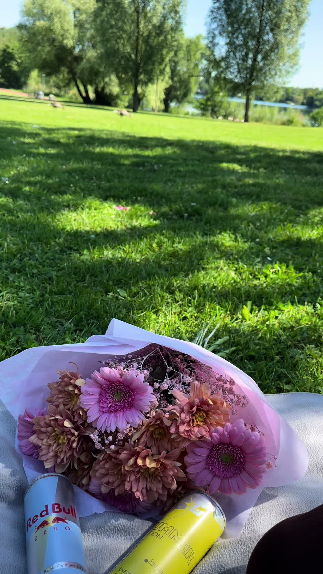 @❥𝐒𝐮𝐝𝐞