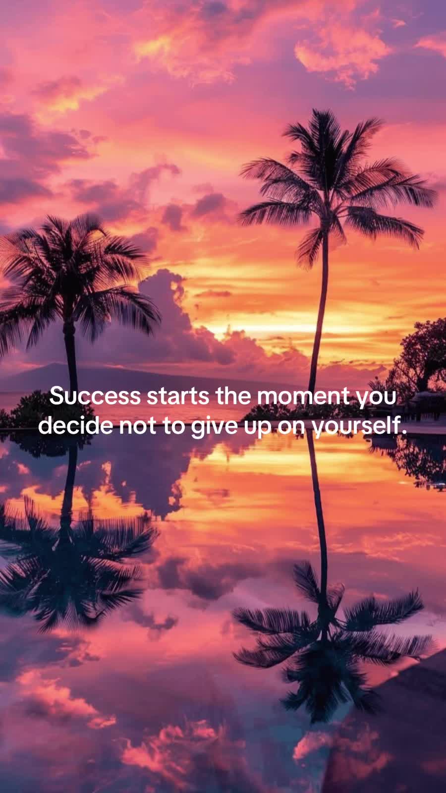 @@StarDollOfficial