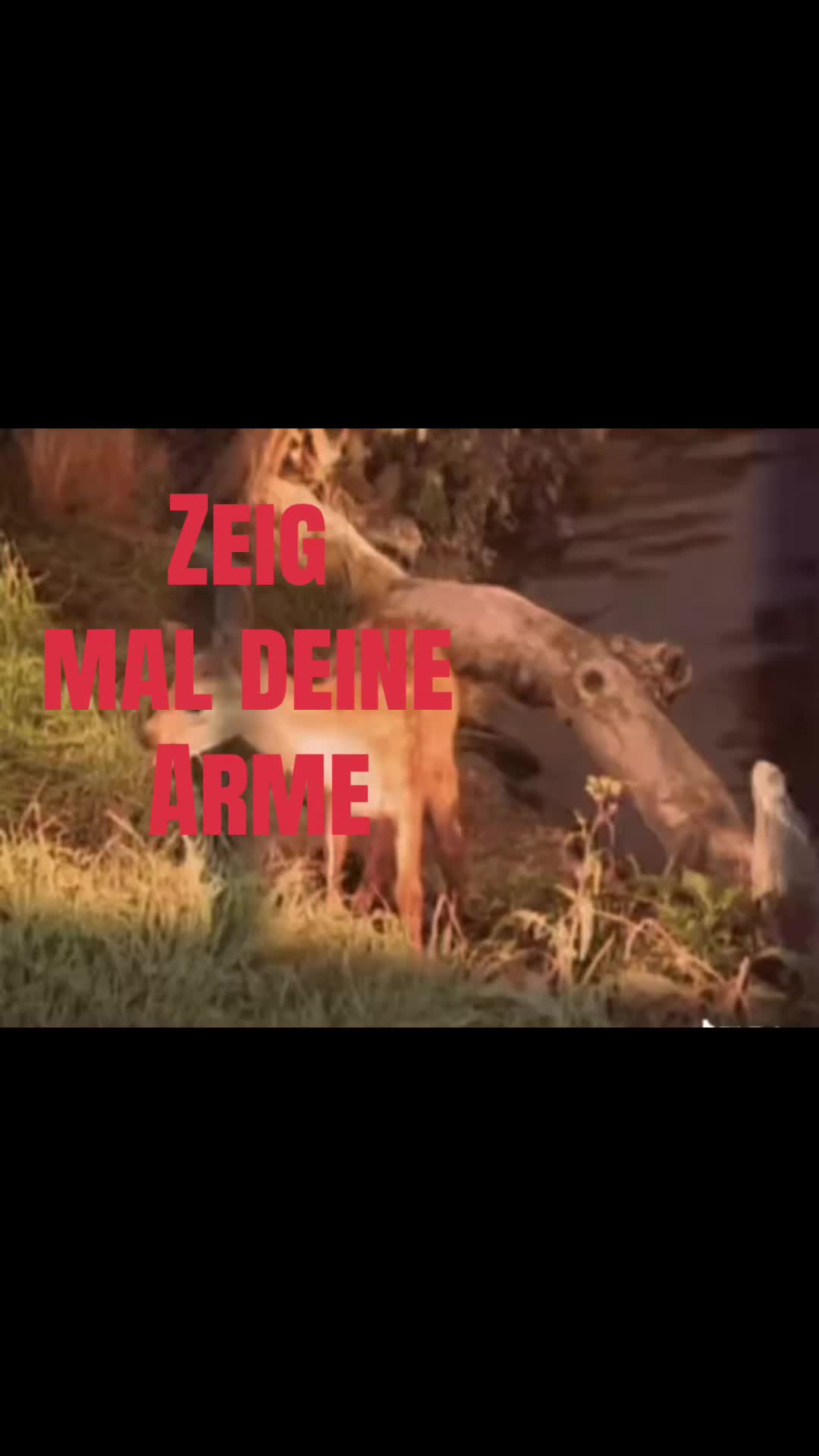 @unbekannt