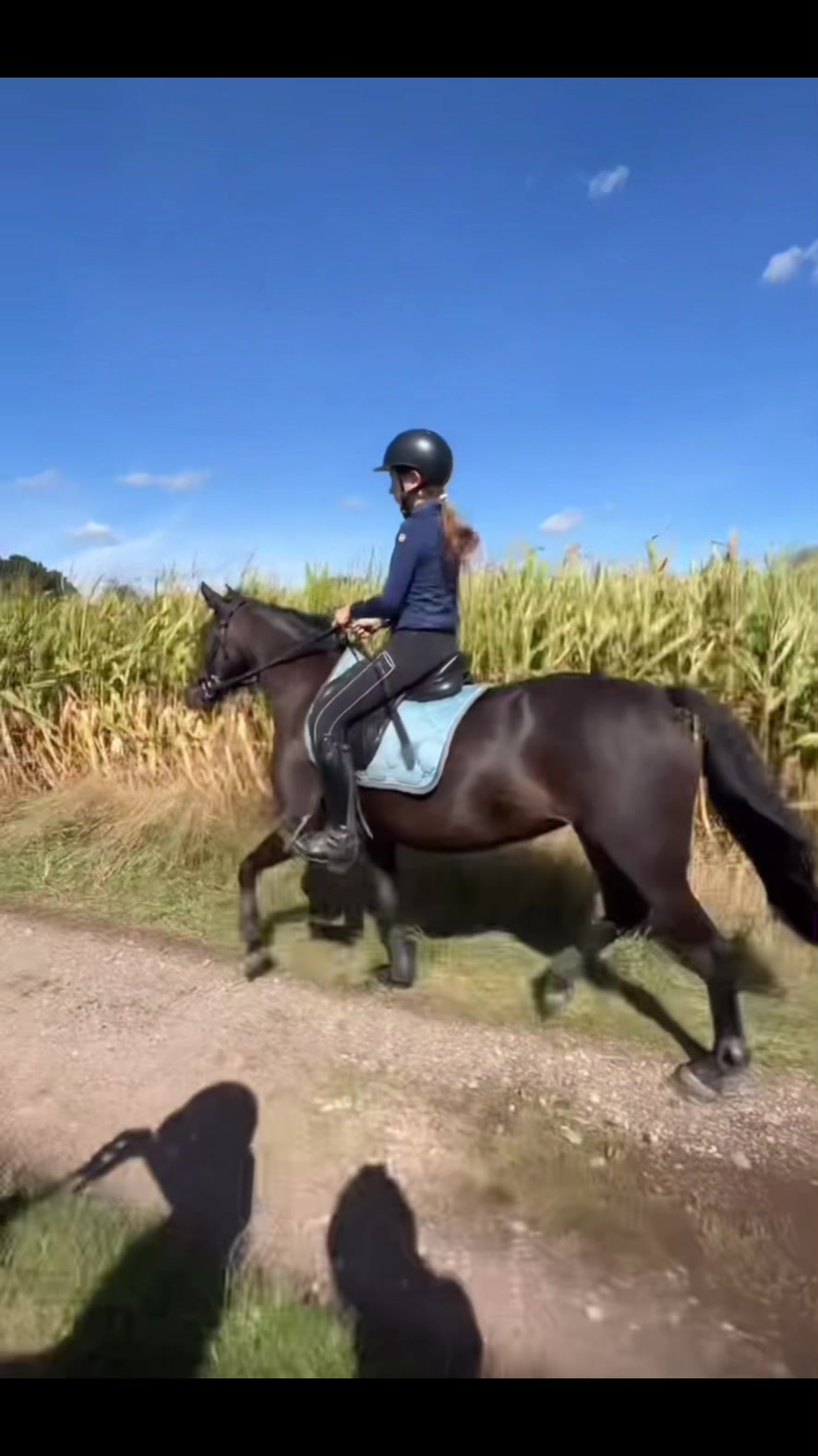 @Equi Roosje🇳🇱