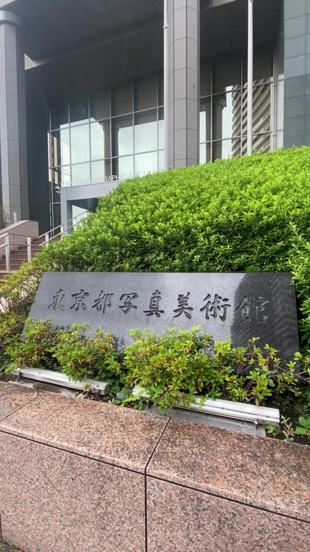 @yuanxin1010