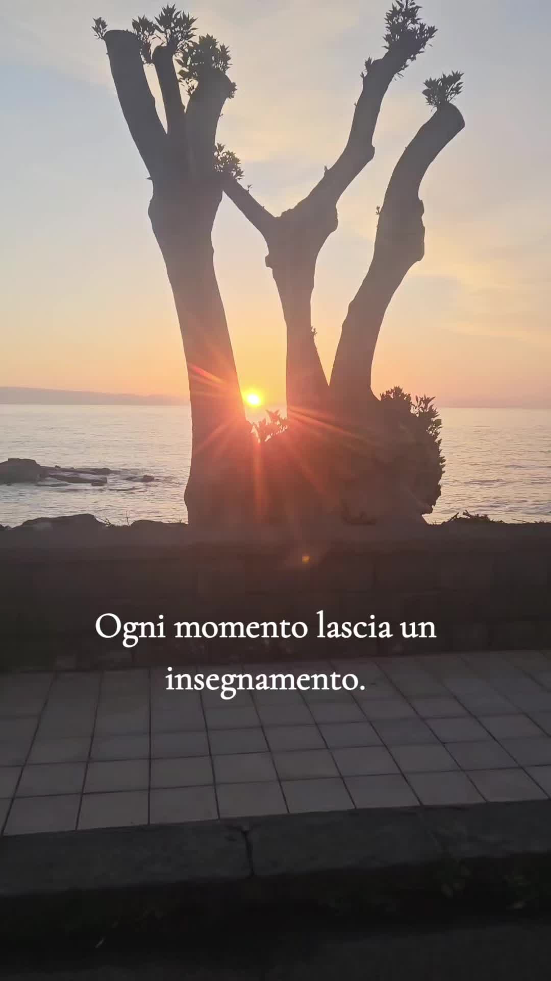 @Salvatrice Strano