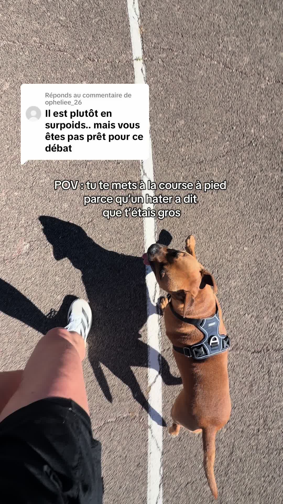 @Dogragnar 🐶👑