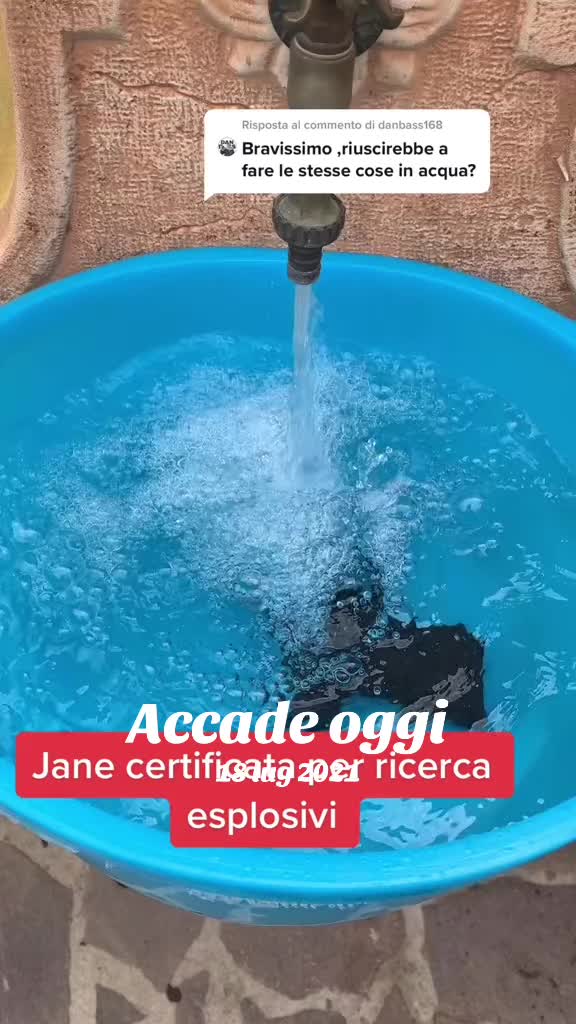@Janedeivolsci&victorio