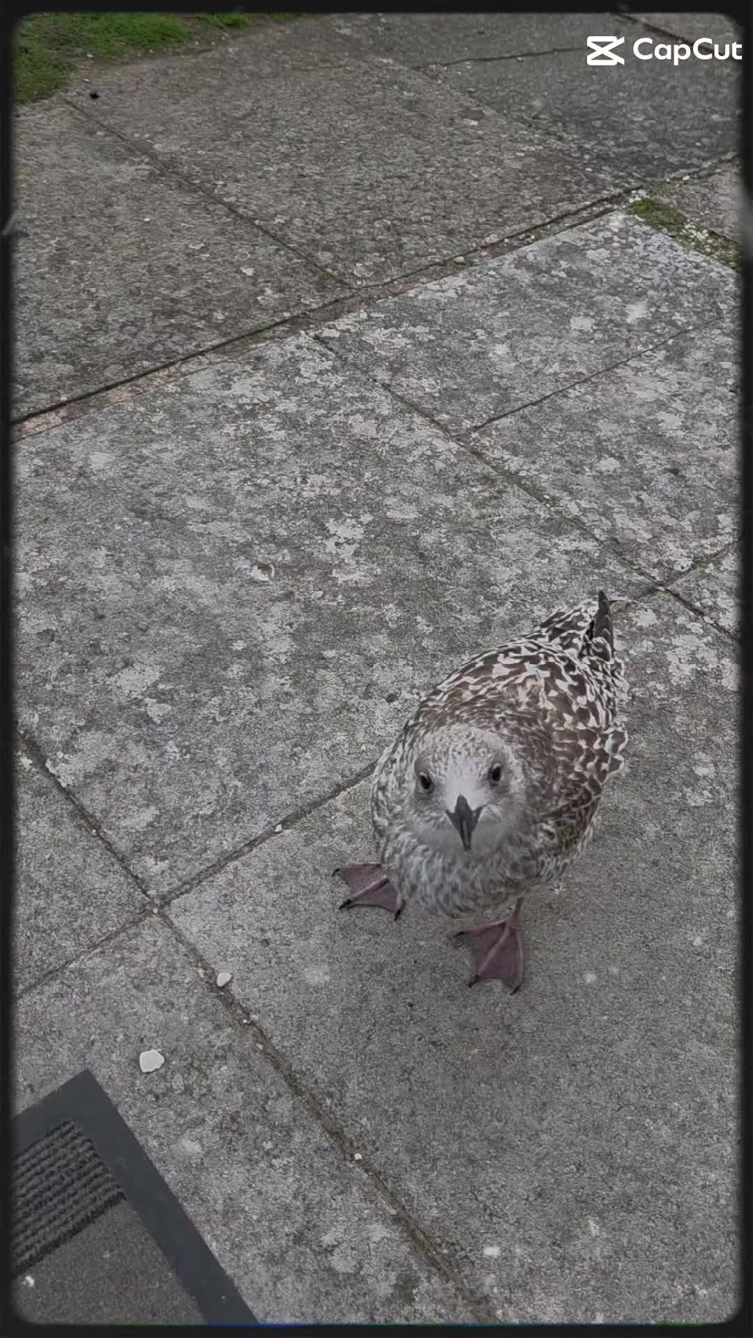 @Dazza8447