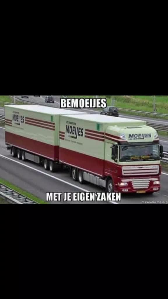 @rene eveleens tiktok