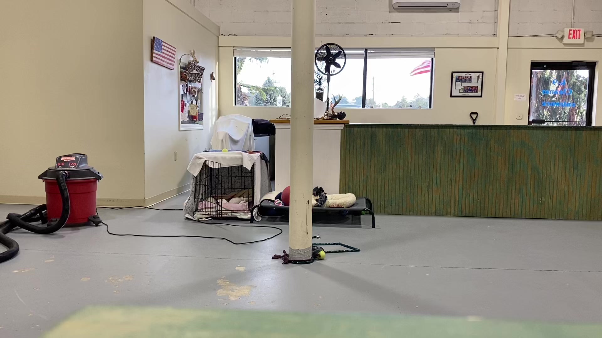@K-9 Cleaner🐶