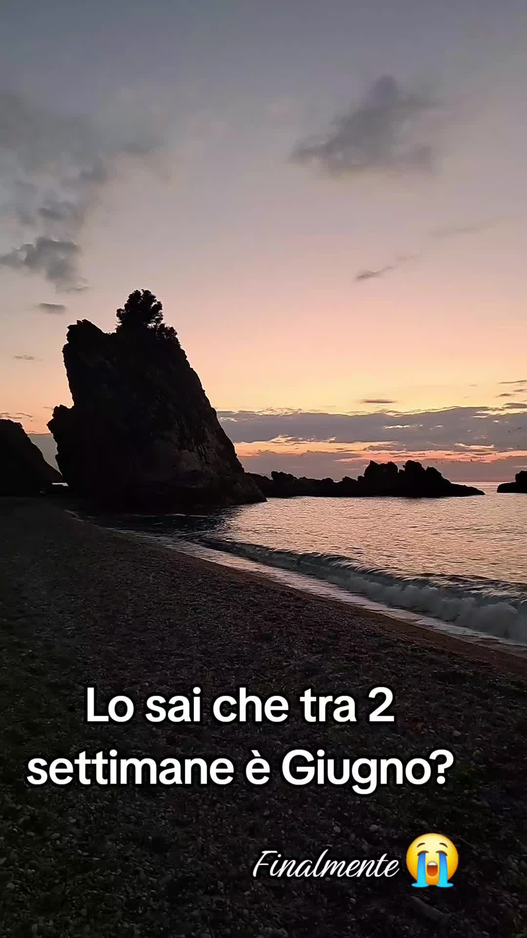 @Francesca Consolo