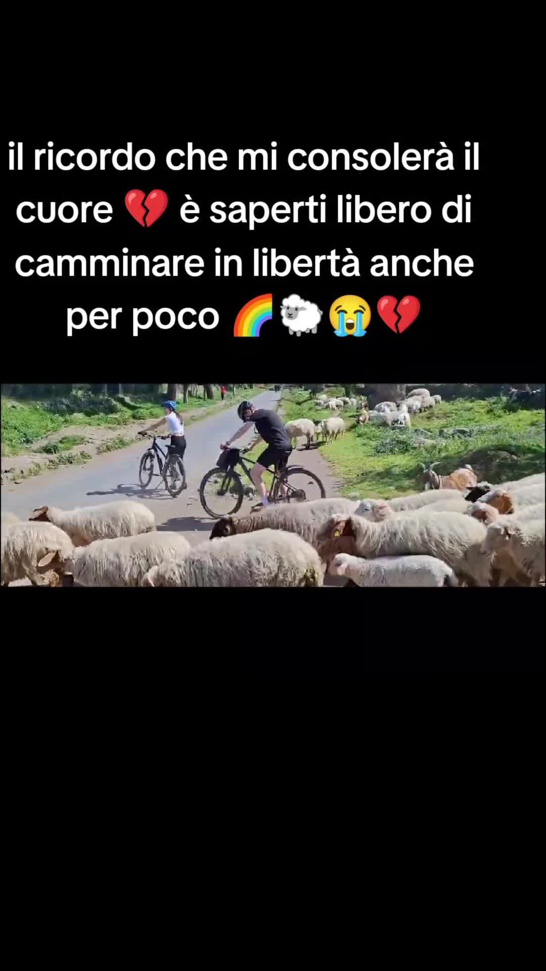 @matildelaurent14