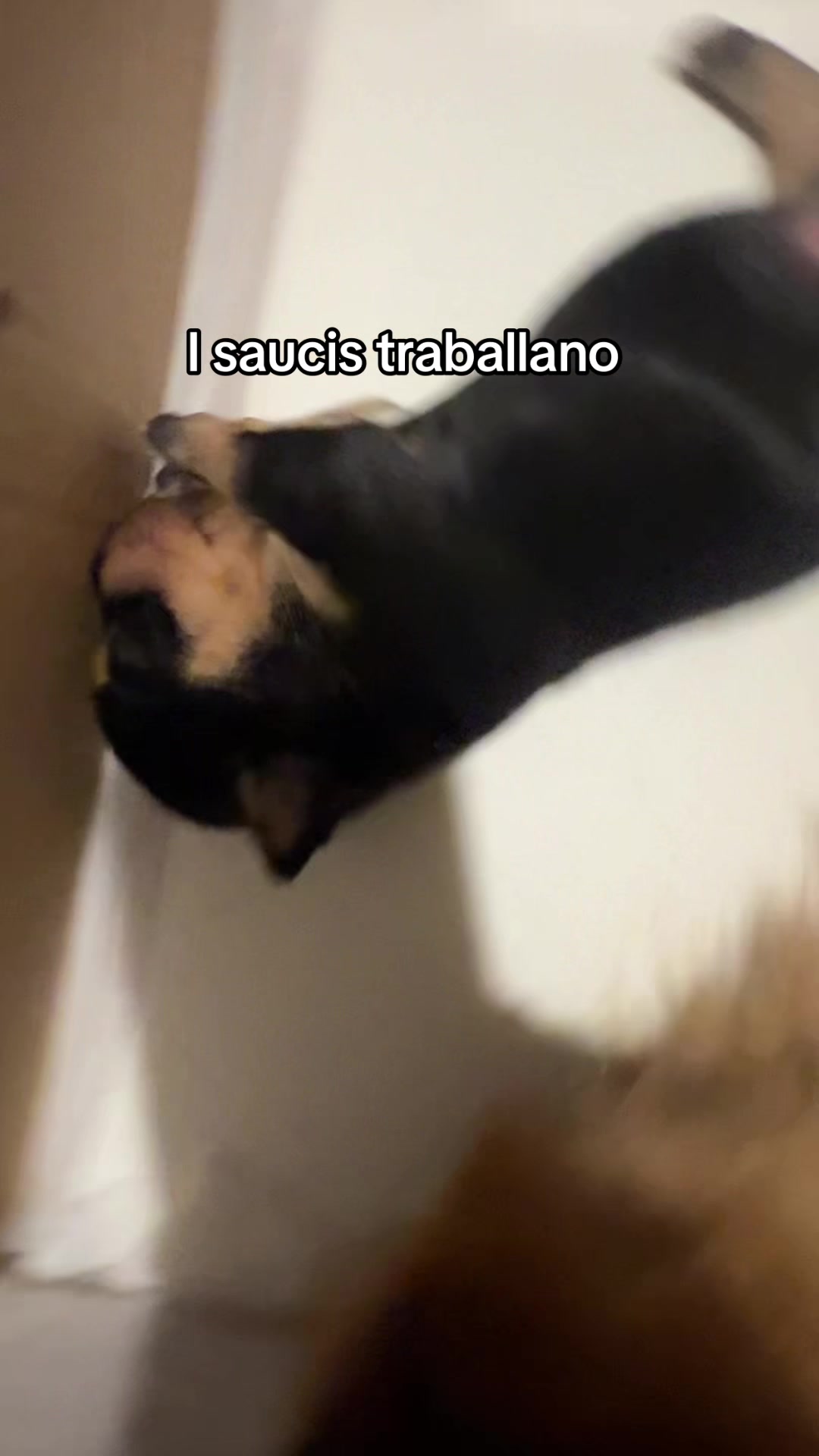 @💕