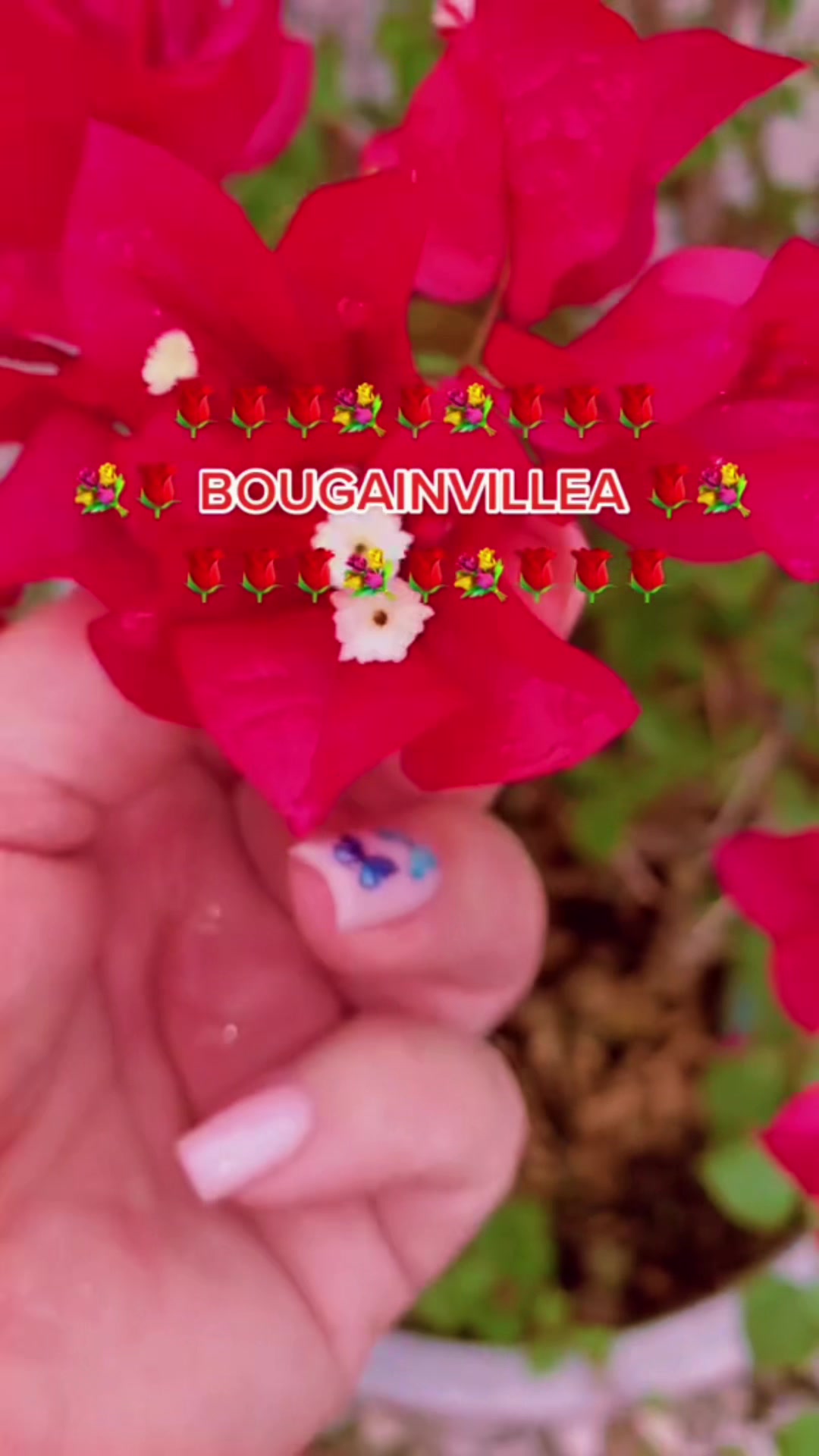 @Jacquie28