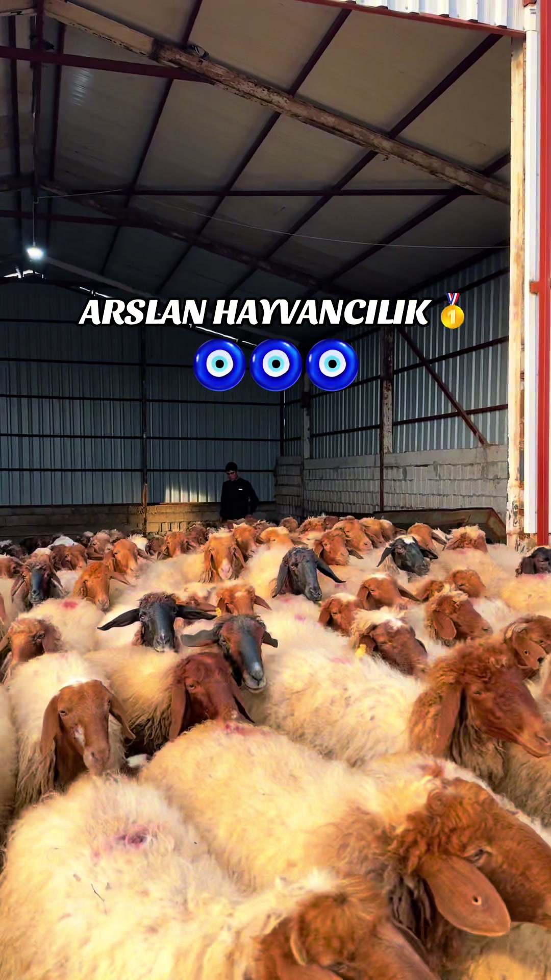@cuma_arslan027