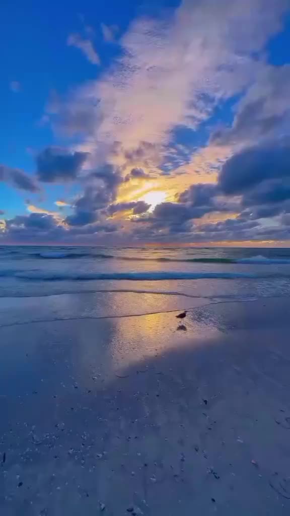 @nabilanafi59