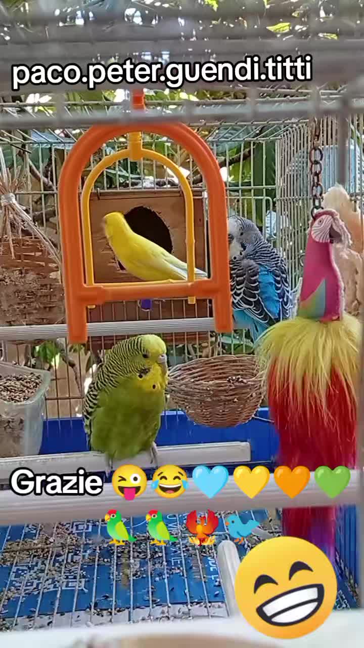 @Ti amo  papino 🖤💙