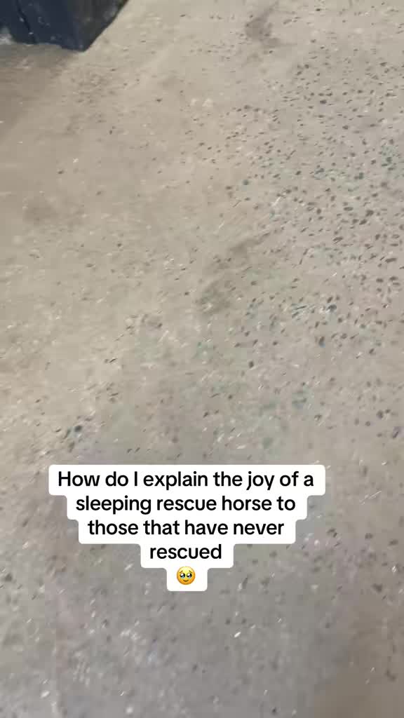@LindSAYTwo
