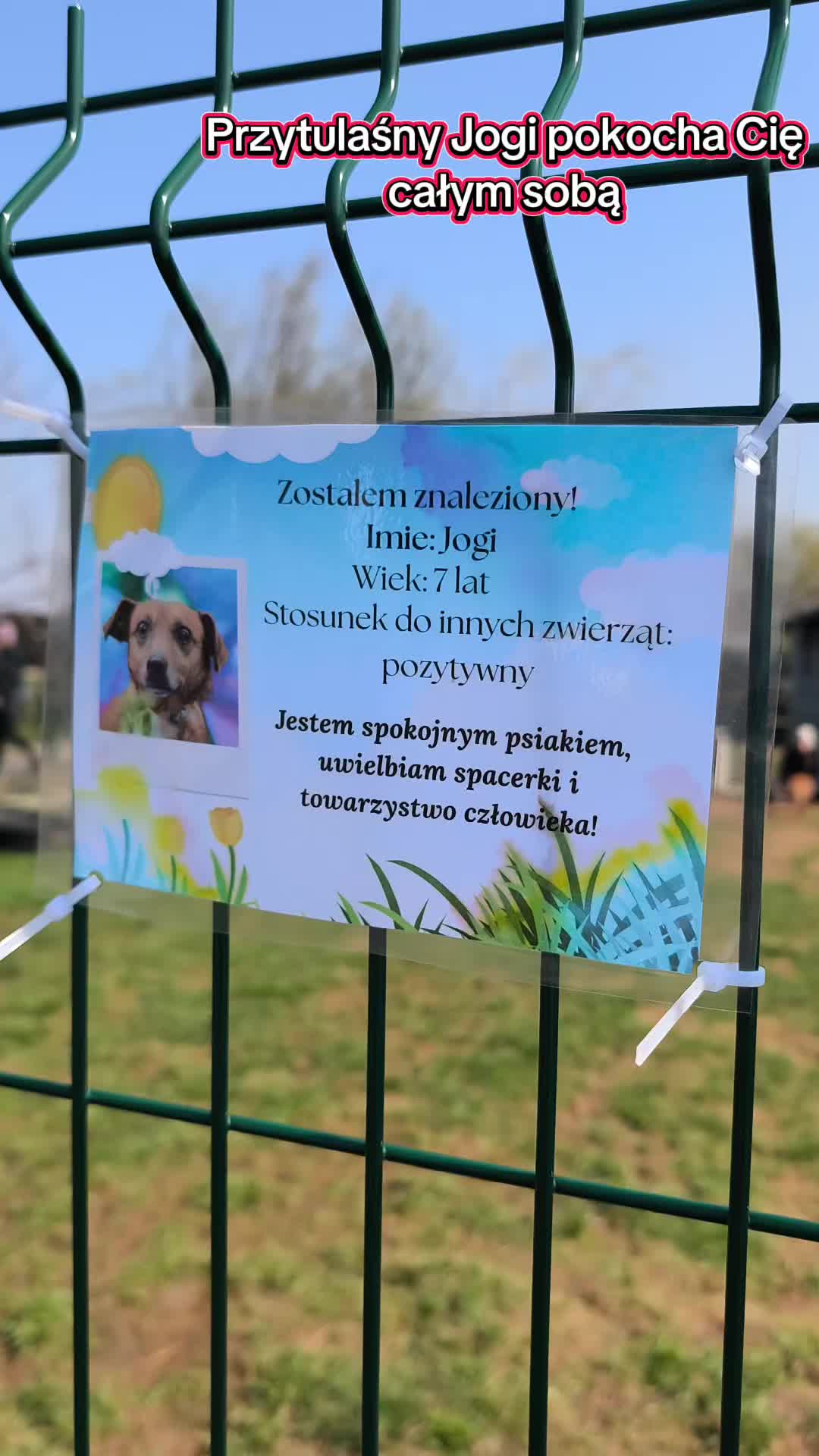 @Bezdomniaki_ze_śląska