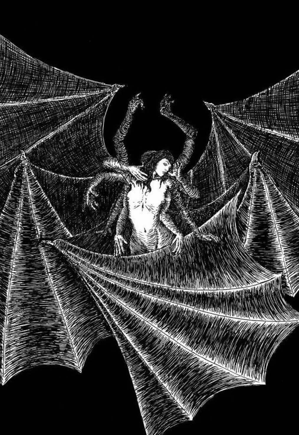 @🦇 ✧ ⋆ ☾ ✧ ⋆ 🪷